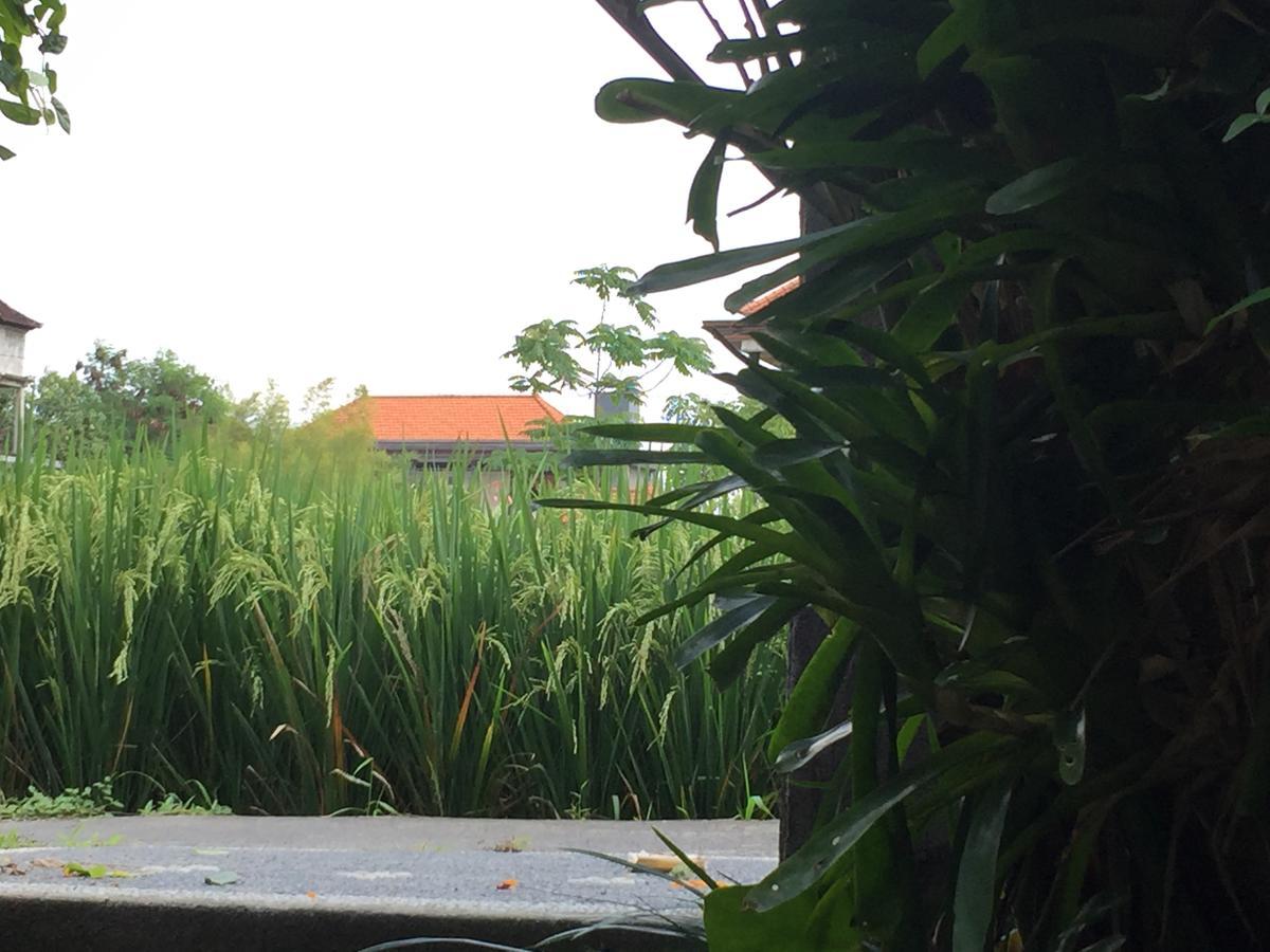 Depong Homestay Ubud Buitenkant foto